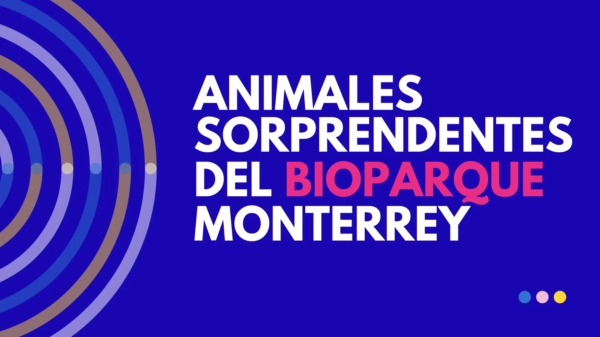 Animales Sorprendentes del BioParque Estrella en Monterrey