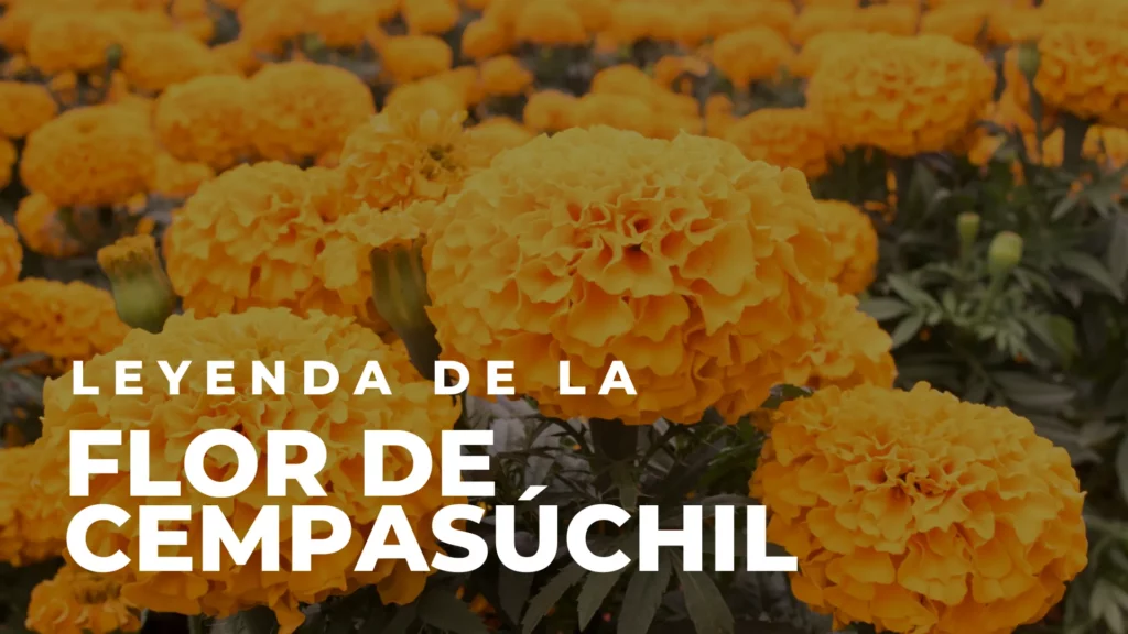 Leyenda de la flor de Cempasuchil -las mejores leyendas mexicanas cortas